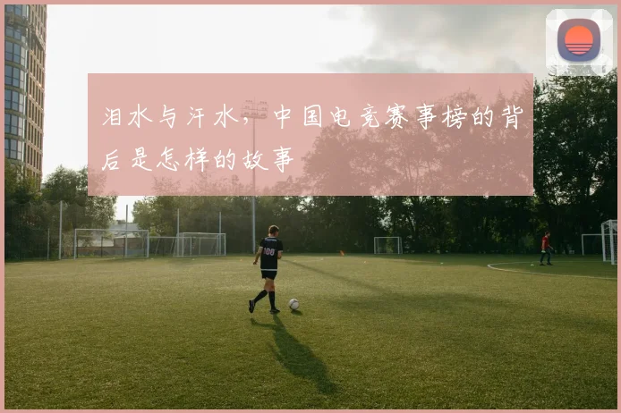 泪水与汗水，中国电竞赛事榜的背后是怎样的故事