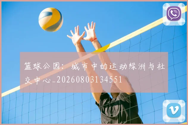 篮球公园:城市中的运动绿洲与社交中心_20260803134551
